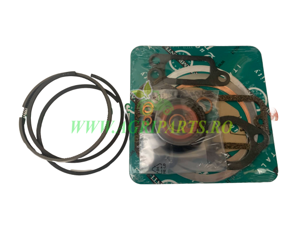 Set garnituri motor SLANZI DVA 1750 - FIN813CGA