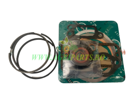 Set garnituri motor SLANZI DVA 1750 - FIN813CGA